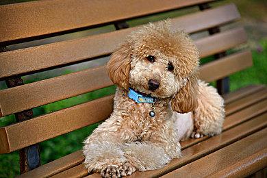 《诛仙世界》推出迎新年福利活动 提供7天免费试玩还送全新时装